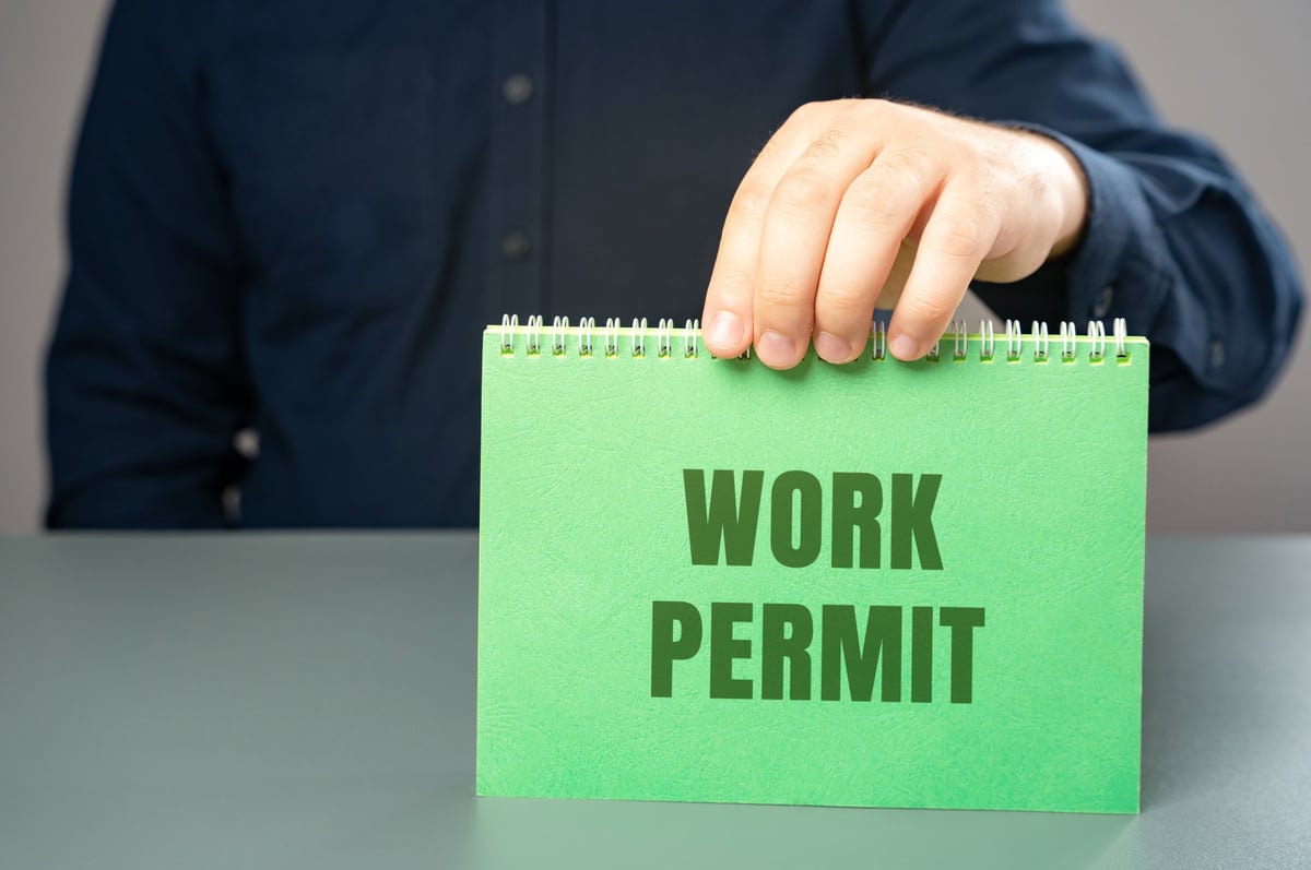 Work permit consultation